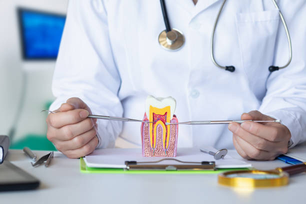 Best Emergency Treatment for Dental Infections or Abscesses in Barview, OR